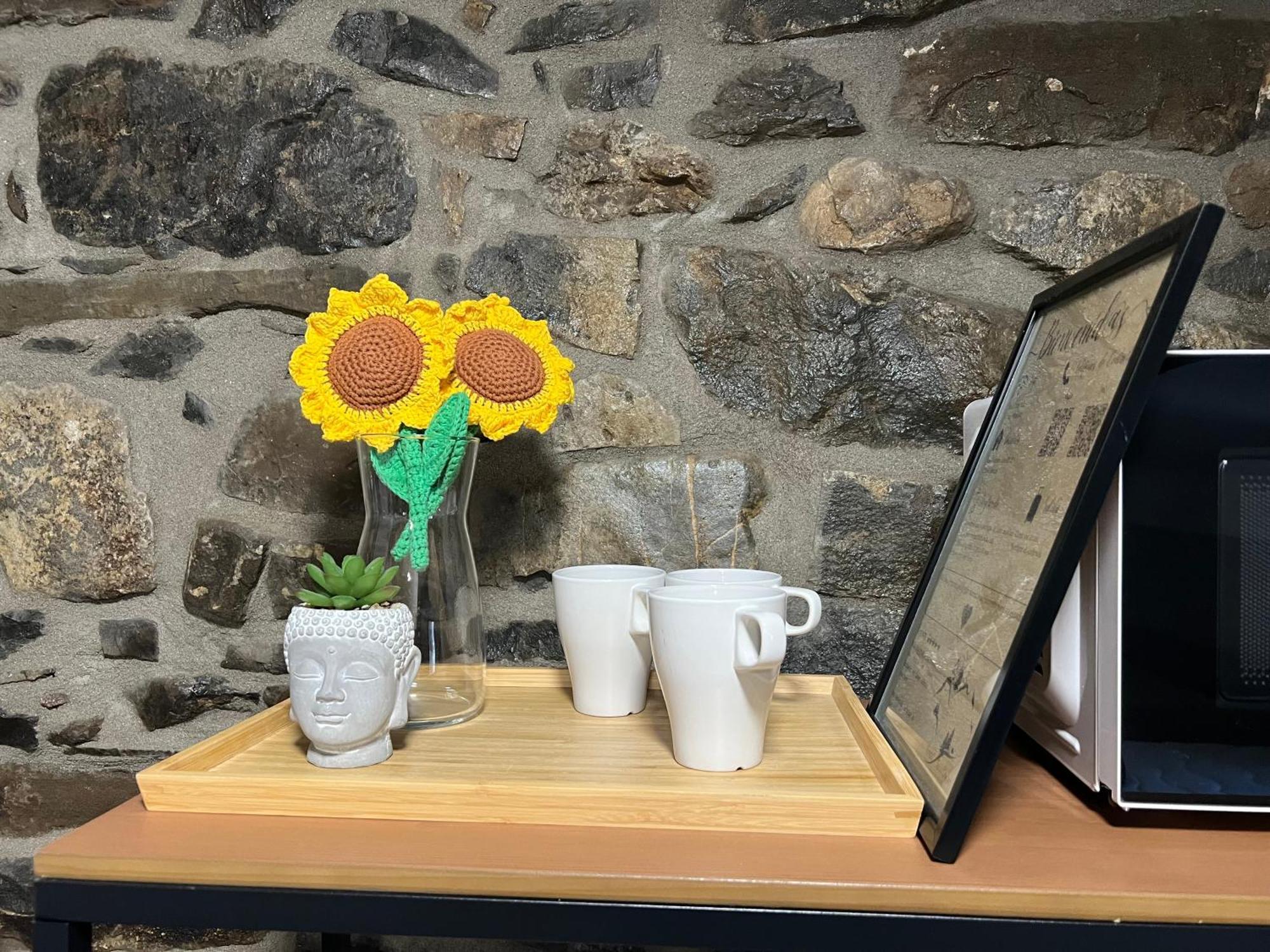 毕斯卡斯 Casa Girasol酒店 外观 照片